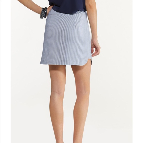 NWT  Blue Striped Skort Size 6 - Picture 3 of 12